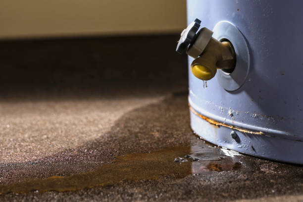 Best Water damage cleanup near me  in Lake Of The Pines, CA