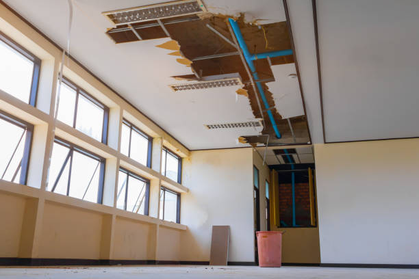Best Water damage restoration near me  in Lake Of The Pines, CA