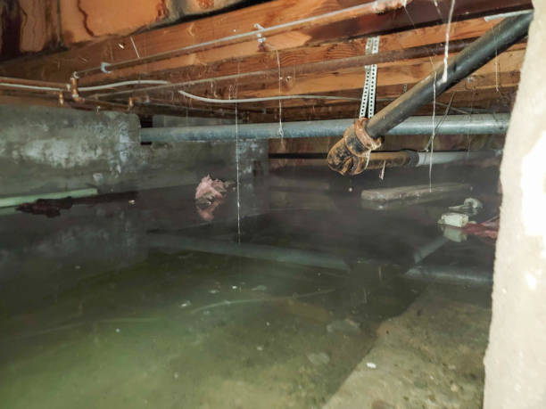 Best Ceiling water damage repair  in Lake Of The Pines, CA