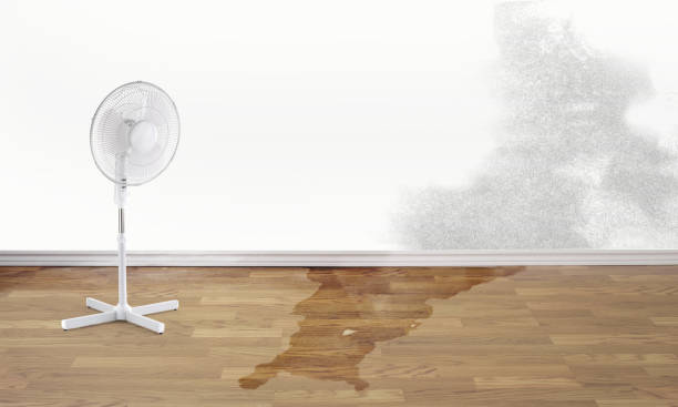 Best Commercial water damage restoration  in Lake Of The Pines, CA