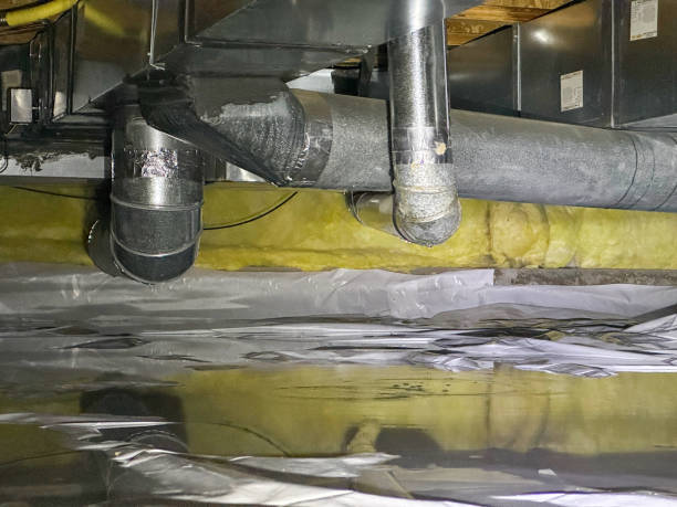 Best Water damage restoration specialists  in Lake Of The Pines, CA