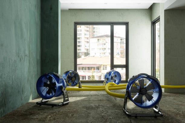 Best Ceiling water damage repair  in Lake Of The Pines, CA