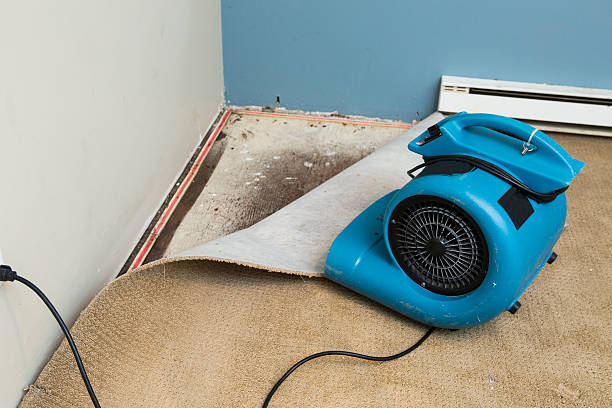 Best 24/7 water damage repair  in Lake Of The Pines, CA